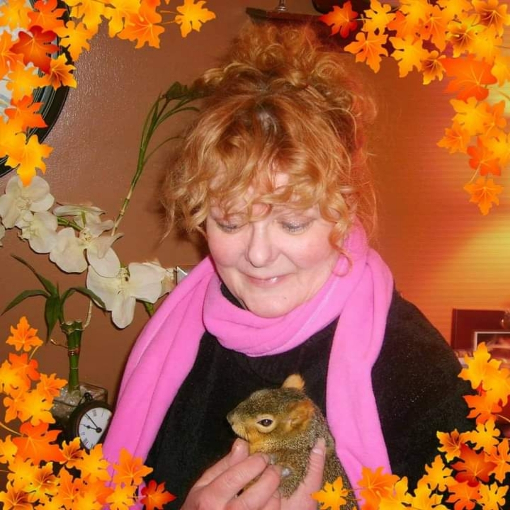 Meet your Posher, Art